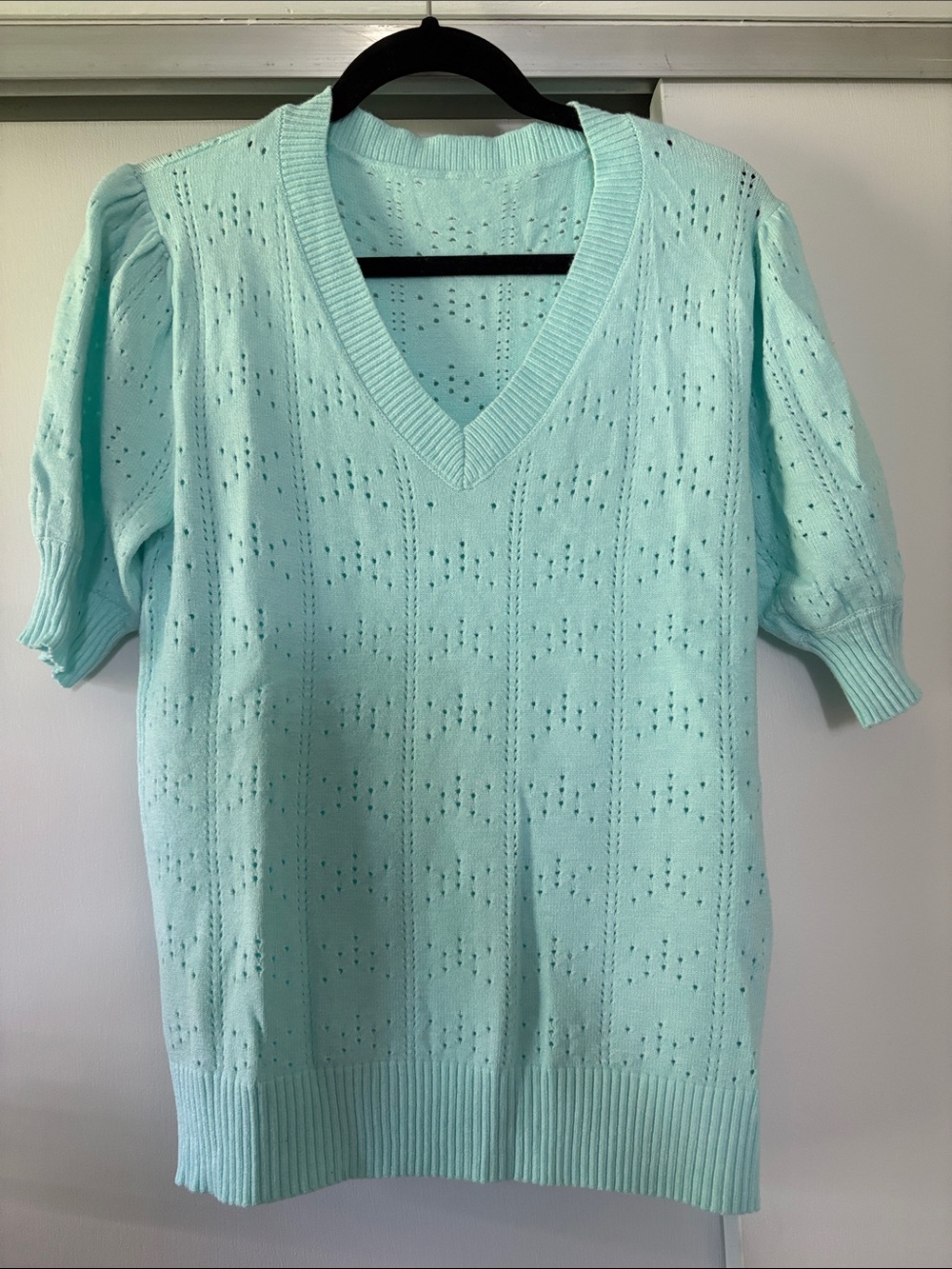 Light Aqua size Large V-Neck Sweater Knit Ultra Soft Top NWOT
